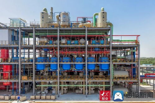 申請國家專利26項 成武縣晨暉環?？萍脊井a品總量占國內的70